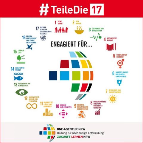 BNE-Agentur-Teiledie17