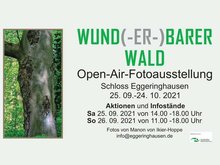 Open-Air-Ausstellung Wund(-er-)barer Wald