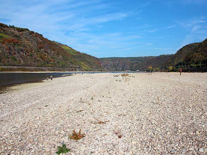 Kiesbank Jungferngrund im Rhein bei Niedrigwasser im Oktober 2018, Rheinkilometer 551. Rechtsrheinisch gegenüber von Oberwesel. Fotografin Marion Halft