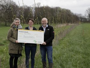 Projektleiterin Frauke Ganswind (links) und Vorsitzende der AbL NRW, Anne Rothkranz-Pott, weihen mit der Übergabe des symbolischen Förderschecks durch Frank Griesel von der Stiftung Umwelt und Entwicklung Nordrhein-Westfalen die erste Agroforstanlage des Projekts ein.