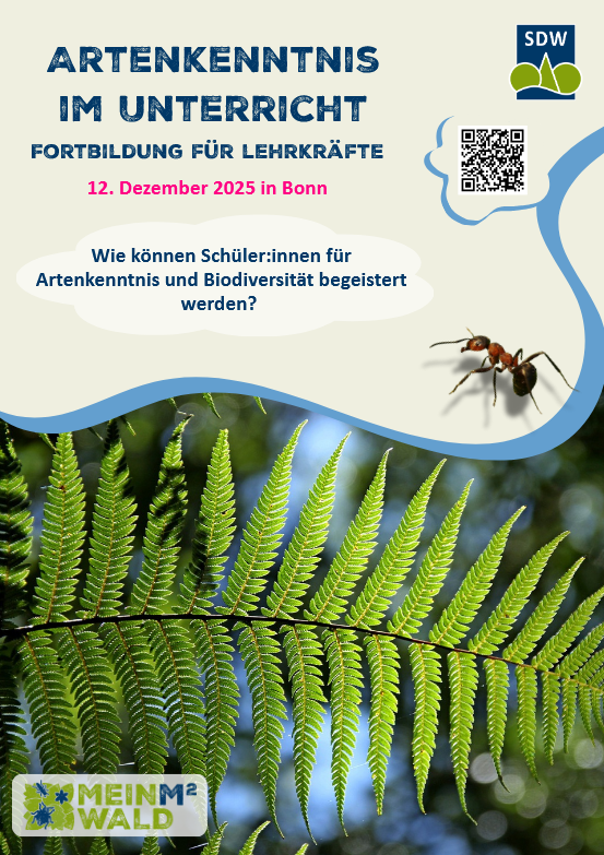 Screenshot_SDW_Flyer_Bonn