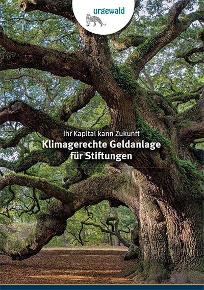 Broschüre Klimagerechte Geldanlage für Stiftungen