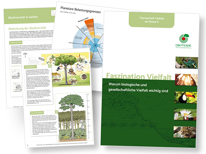 OroVerde Bildungsmaterialien Faszination Vielfalt OroVerde Bildungsmaterialien Faszination Vielfalt